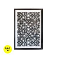 flower accento poster front sold out